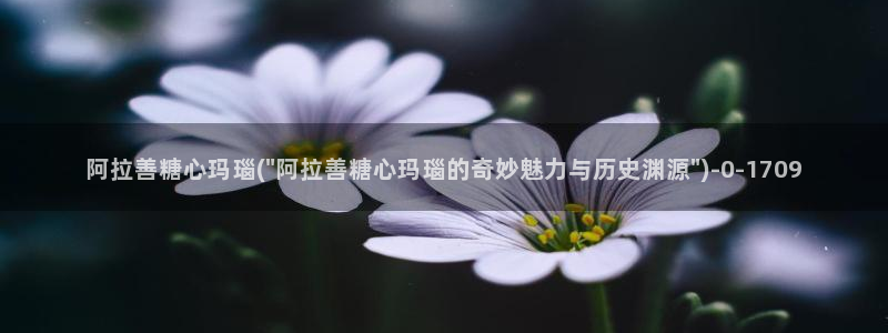 糖心少女vlog免费桐桐的生日：阿拉善糖心玛瑙(\