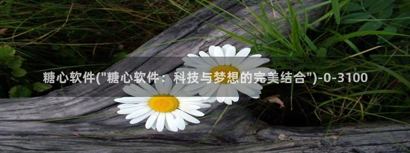 成人糖心vlog下载：糖心软件(\