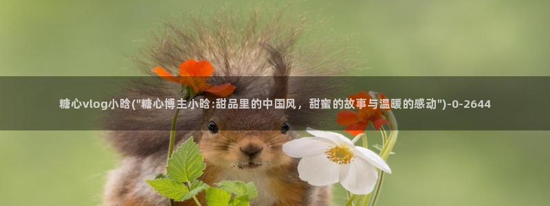 糖心vlog免费入口：糖心vlog小晗(\