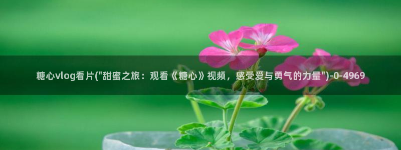 糖心txvlog.com：糖心vlog看片(\