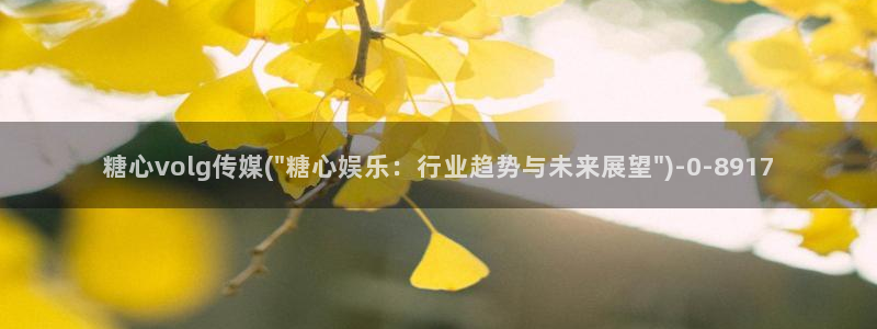 心糖vlog免费：糖心volg传媒(\