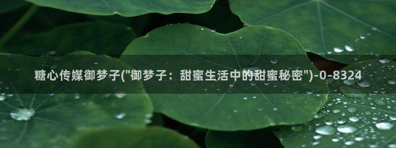 糖心成年版糖心vlog：糖心传媒御梦子(\