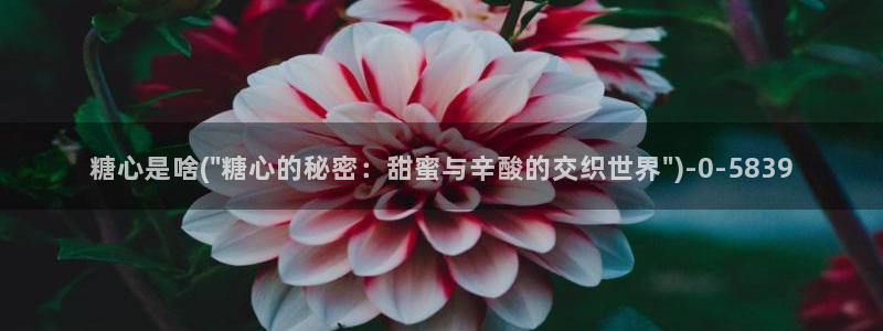 糖心vlog官网进入：糖心是啥(\