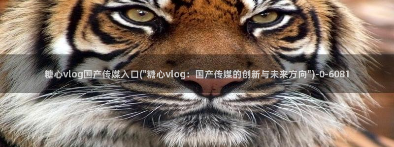 糖心vlog最新下载：糖心vlog国产传媒入口(\