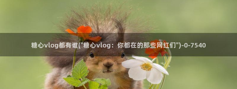 糖心视频vlog深夜释放自己：糖心vlog都有谁(\