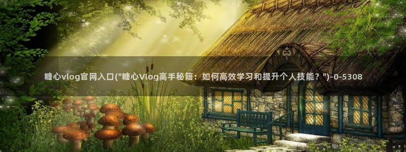 心糖vlog免费版